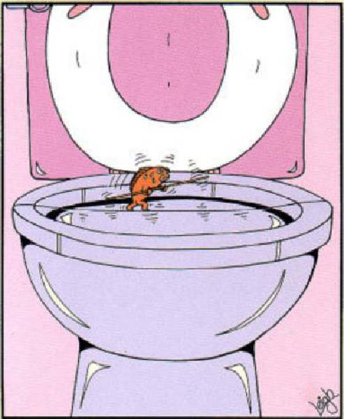 hors du bocal2-humourenvrac